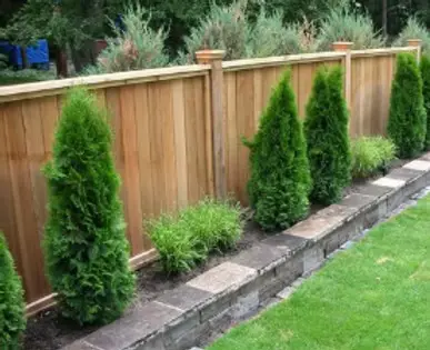 Cedar privacy fence with cap and trim beside landscaping